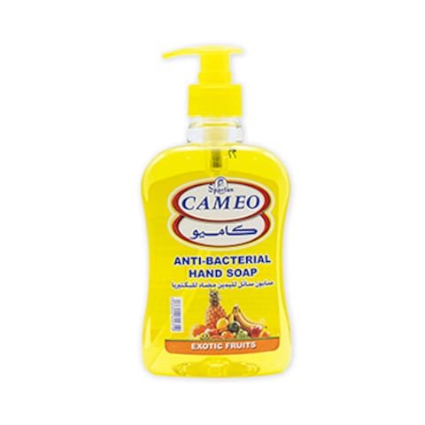 Cameo Anti-Bacterial Exotic Fruits Hand Soap 500ML