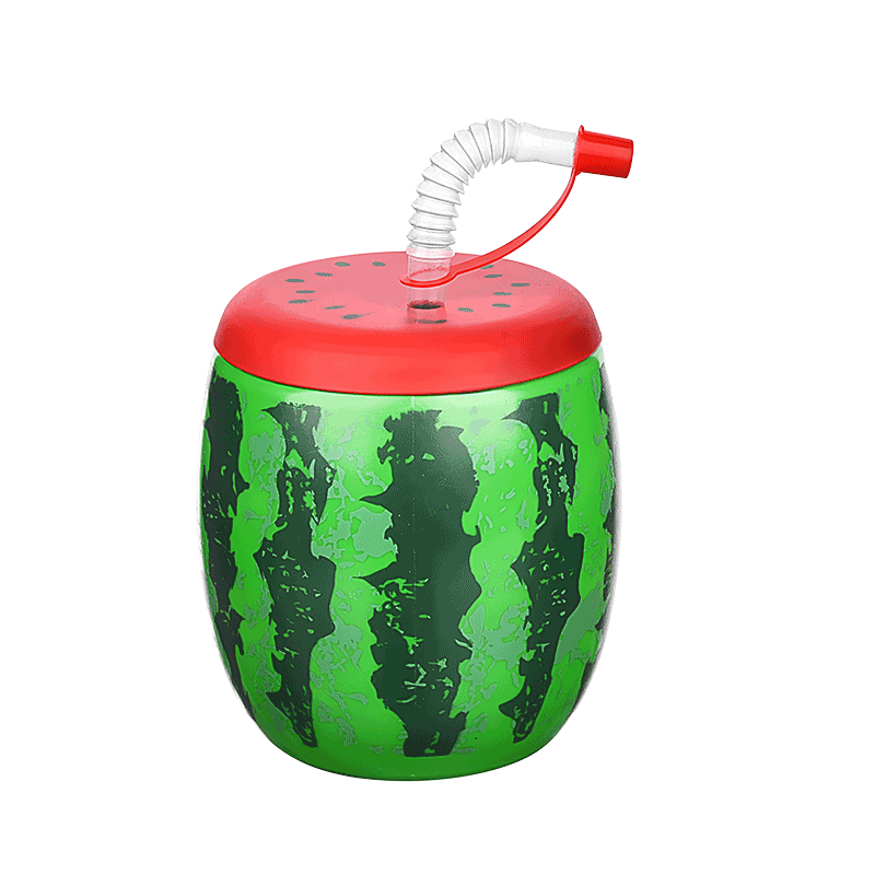 Watermelon Straw Cup