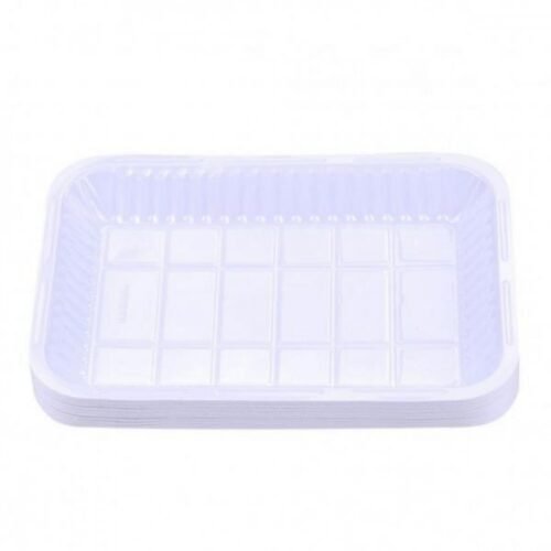 Plastic Rectangular Tray #2