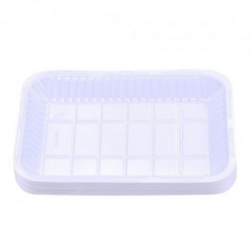 Plastic Rectangular Tray #4