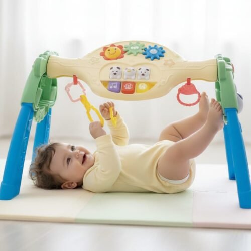 WhatsApp Image 2025-11-30 at 11.45.47 AM Musical Workout Toy