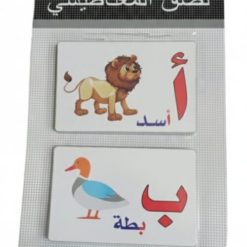 Magnetic Learning Toys