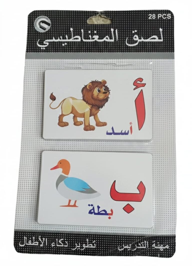 WhatsApp Image 2025-12-10 at 11.41.06 AM (1) Magnetic Learning Toys