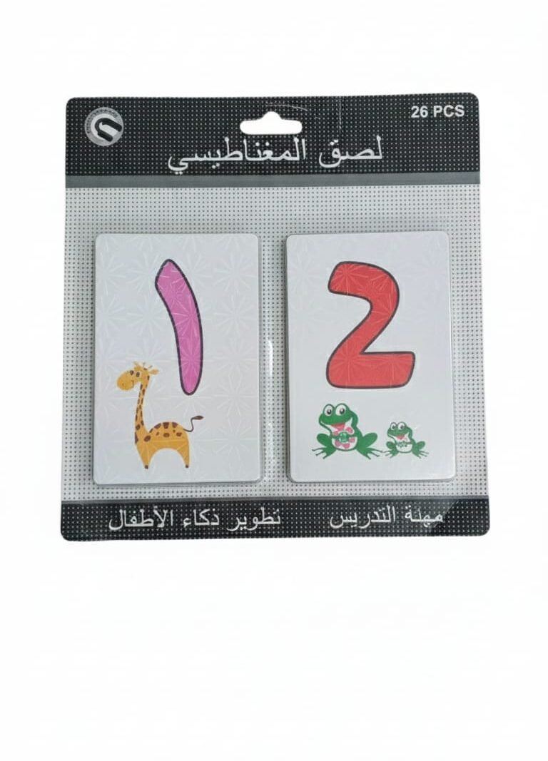 WhatsApp Image 2025-12-10 at 11.41.06 AM Magnetic Learning Toys