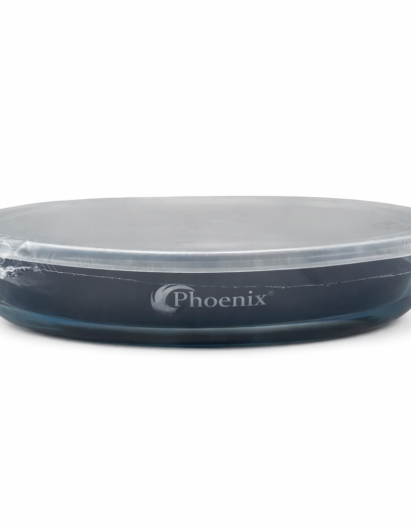 file_00000000a7e872468e71ebdcf78951ee Phoenix -بايركس مع غطاء